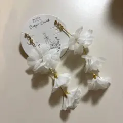 Item thumbnail for item cd06b4b8-8833-4bf4-97c1-8d10133e3ebb