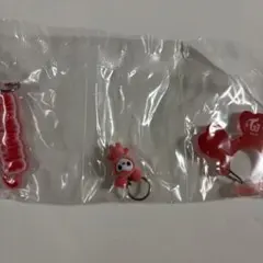 TWICE アクリルカラビナフロッキーマスコット　チェヨン　チェンブリー　①