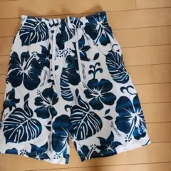 Item thumbnail for item ee3e2429-b4e9-47df-a348-218e4e5cd191