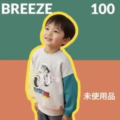 Item thumbnail for item fcfa05de-01e3-4cae-b632-7b72fff72731