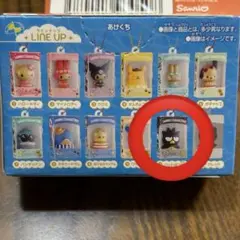 チョコボックス　ばつ丸　箱未開封品