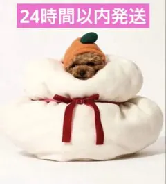 Item thumbnail for item 479f754b-a723-4400-9258-47284381dfc1