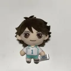 ハイキュー　及川徹　ぬいぐるみ　セガラッキーくじ