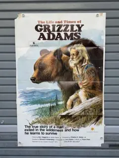 映画ポスター レトロ My Side of the Mountain | Mercari