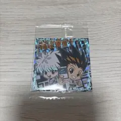 ハンターハンター シールウエハース Vol.3 ゴン＆キルア 3-26 WHRのサムネイル