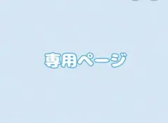 amiami様専用