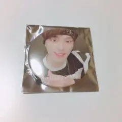 SEVENTEEN 缶バッジ ディノ