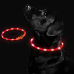 犬光る首輪 犬 首輪 光る LED USB充電式 サイズ調節可能 (レッド)