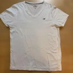 ホリスター　メンズTシャツのサムネイル