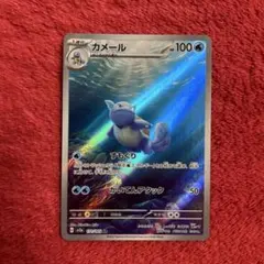 2026年最新】カメールARの人気アイテム - メルカリ