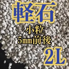 軽石 小粒 2L 多肉植物 サボテン 観葉植物土 魂根植物のサムネイル