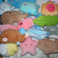 つぶらな瞳の水族館１３点セット