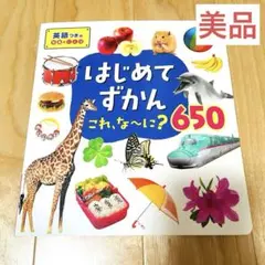 【美品】はじめてずかん これな〜に？650