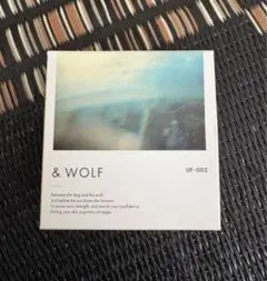 &WOLFセラムリキッドファンデーションlightbeige