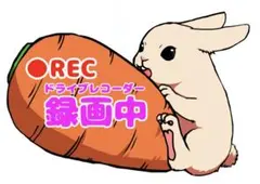 Item thumbnail for item 514b3abf-2a23-4bab-b0a8-2431f0389efb