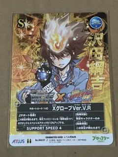 沢田綱吉 REBORN　リボーン　CCG　サザンクロスバトル　カード　まとめ売り REBORN! 沢田綱吉 サザンクロスバトル×CCG SPコラボカード - メルカリ