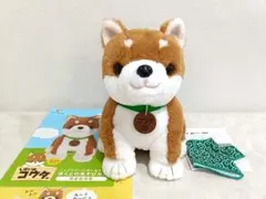 PARTNERS しばいぬコウタ バンダナセット | Mercari