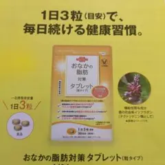 最終値下げ　おなかの脂肪対策タブレット 30日分のサムネイル