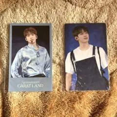 SEVENTEEN ウォヌ ケレン 購入特典 トレカ ポラロイド セット