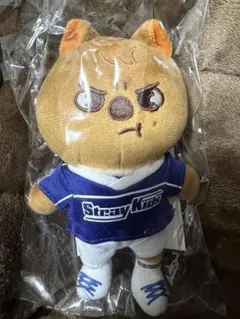 スキズ StrayKids ペンミ ハン バックパック トレカ無し クォッカ