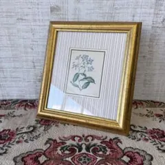 英国製 MANUSCRIPT ボタニカルアート 額装 壁掛け ゴールドフレーム