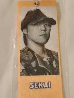 EXILE　世界　めじるしタグ　②