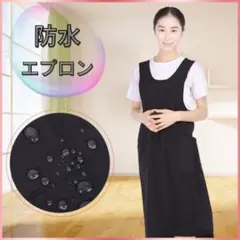 Item thumbnail for item 1954460a-7ad2-415b-9a93-5bc579e6e00b