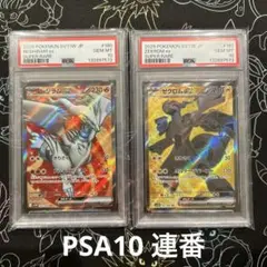レシラム ゼクロム SR 連番 ブラックボルト ホワイトフレア PSA10