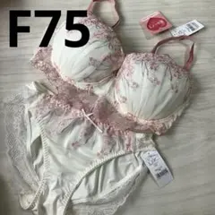 F75 チュチュアンナ　運命のブラ　ブラショーツセット