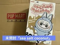 未開封　ラブブ　Macaron sea salt coconut