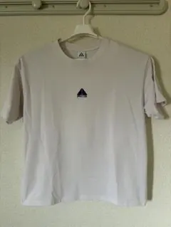 nike acg ロゴTシャツ　パープル　90s センター