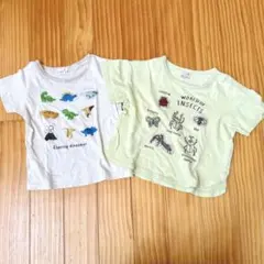 ベビー　半袖　Tシャツ　2枚セット　90