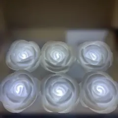 バラ　ライト