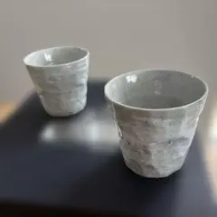 【新品未使用】美濃焼 フリーカップ＆大盛皿セットのサムネイル
