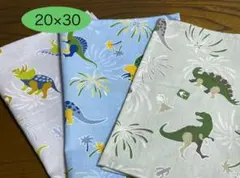 ★人気商品　恐竜① ３枚★20×30 ランチマット　給食ナフキン　男の子