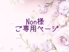 Non様ご専用ページです⟡.*