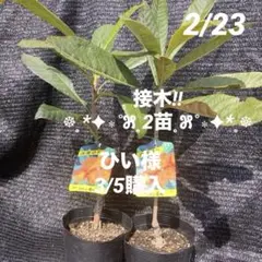 ひい様 リクエスト 2点 まとめ商品