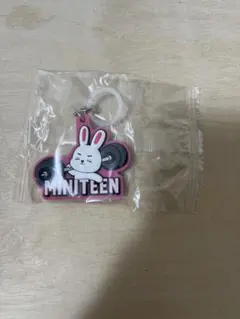 seventeen ミニティーン　エスクプス　めじるしアクセサリー