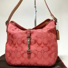 美品✨️COACH ショルダーバッグ アクセサリーポーチ スエード y2k 赤