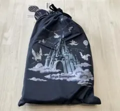 【新品タグ付】東京ディズニーランド ポータブルクッション（収納袋付き）のサムネイル