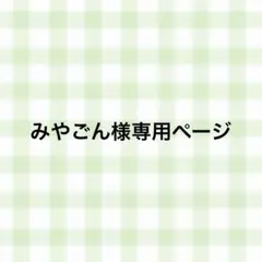 みやごん様専用ページ