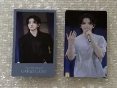 SEVENTEEN CARATLAND2024 ギフトトレカセット ウジ