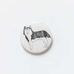 marble sud 缶バッジ