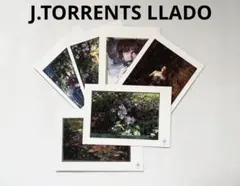 2025年最新】リャド ポストカードの人気アイテム - メルカリ