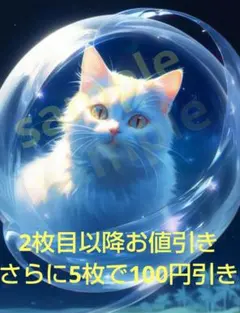 猫　3　デジタルアート　ブロマイド