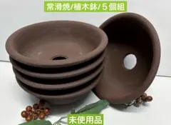 미사용 特価❕常滑焼 素焼き 植木鉢 5個組 盆栽鉢 山野草鉢 ガーデニング