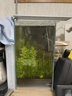 bibironrenranさま 専用 DOOA ネオグラス セット 2025年最新】dooa ネオグラスエアの人気アイテム - メルカリ