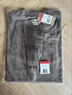 NIKE Tシャツ HF9607-289 メンズ Lサイズのサムネイル