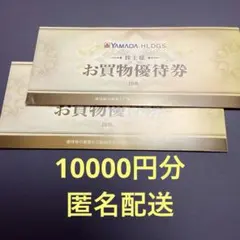 ヤマダ電機　YAMADA お買物優待券 20枚セット