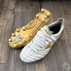 2025年最新】モレリアネオ2の人気アイテム - メルカリ